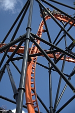 Tigris