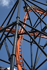 Tigris