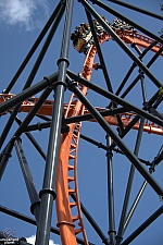Tigris