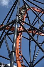 Tigris