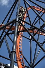 Tigris