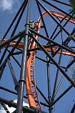 Tigris