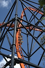 Tigris