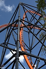 Tigris