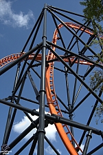Tigris
