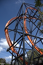 Tigris