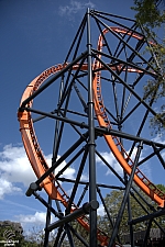 Tigris