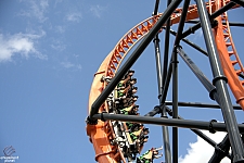 Tigris