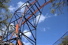 Tigris