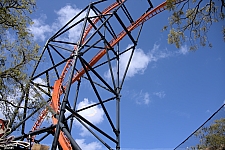 Tigris