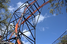 Tigris