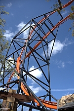 Tigris