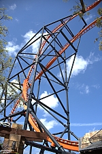 Tigris