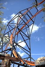Tigris