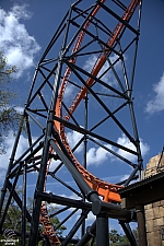 Tigris