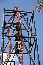 Tigris