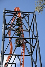 Tigris