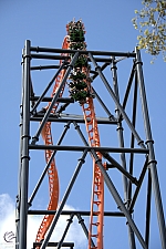 Tigris