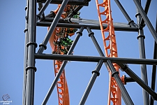 Tigris