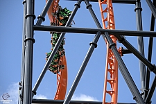 Tigris
