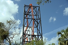Tigris