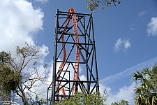 Tigris
