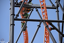 Tigris