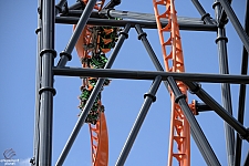 Tigris