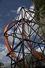Tigris