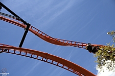 Tigris