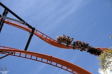 Tigris