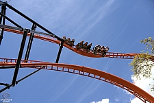 Tigris