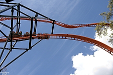 Tigris