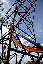 Tigris