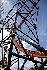 Tigris