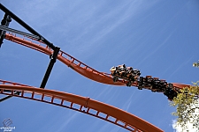 Tigris