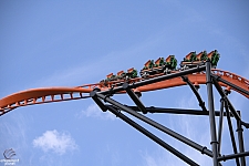 Tigris