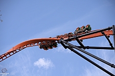 Tigris