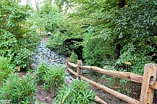 Busch Gardens Williamsburg