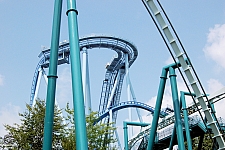 Griffon