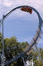 Griffon