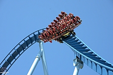 Griffon