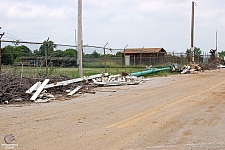 Zingo