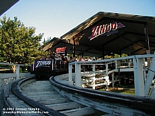 Zingo