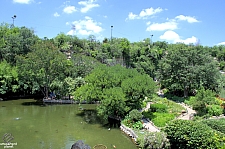 San Antonio Japanese Tea Garden