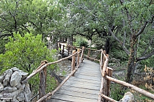 San Antonio Japanese Tea Garden