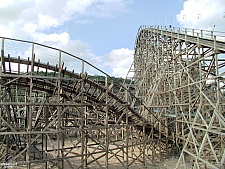 Ozark Wildcat