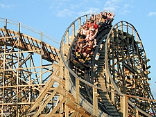 Ozark Wildcat