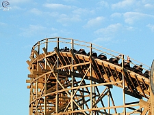 Ozark Wildcat