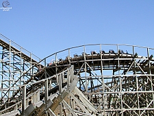 Ozark Wildcat